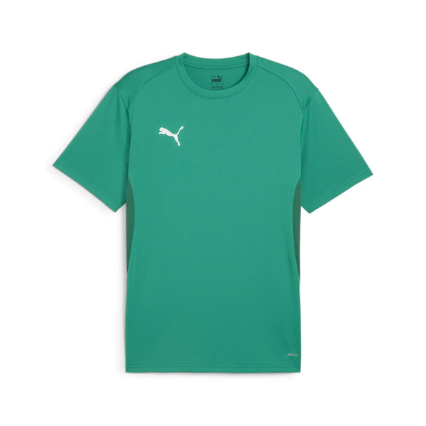 Puma TeamGOAL Jersey - 658636-05